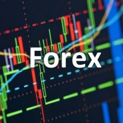 selveryhot's profile picture. Forex trading is a high-stakes game where fortunes can be made or lost. It demands a unique blend of skill, knowledge, and emotional resilience.