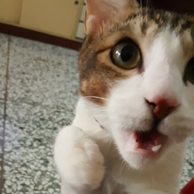 Elf7722's profile picture. 