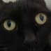 Lob Finney (@finneylob84536) Twitter profile photo Lob Finney (@finneylob84536) Twitter profile photo