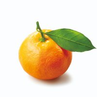 みかん成人🍊 (@mikanseijin3150) 's Twitter Profile