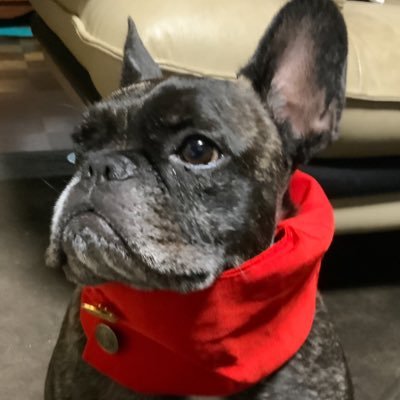 HARITAさんのプロフィール画像