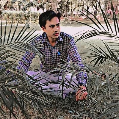 ANIL1SAPIA's profile picture. dhangar