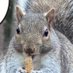 Sassybean (@1sassybean) Twitter profile photo Sassybean (@1sassybean) Twitter profile photo
