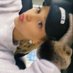 nini (@_seophy) Twitter profile photo nini (@_seophy) Twitter profile photo