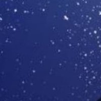 지금 (@dzr3l) 's Twitter Profile
