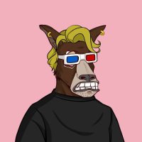 Chester X (@chestercryptox) 's Twitter Profile