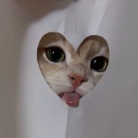 Lylia (@mickieereee) 's Twitter Profile