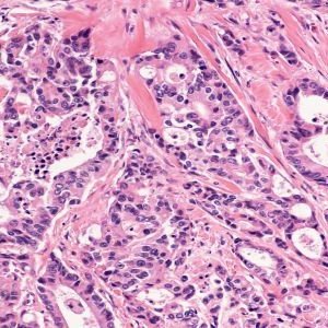 UofG Cancer Sciences Profile