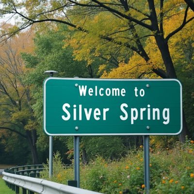 Licensed Realtor® • Silver Spring, Maryland