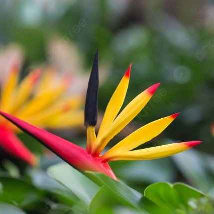 ayed4u's profile picture. Personal Account