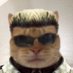 Pedro Luis (@pluchinp) Twitter profile photo Pedro Luis (@pluchinp) Twitter profile photo