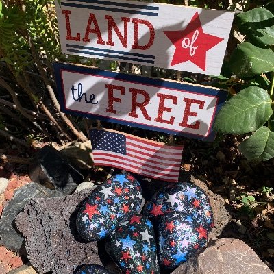 LisaRae2525's profile picture. Proud American Citizen. MAGA 💯🇺🇸. Welcome back President Trump! God Speed🙏