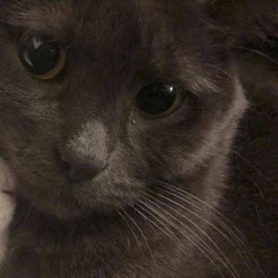 masnyababyrea's profile picture. i’m mentally unwell so i might say things that are incomprehensible, please bear with me