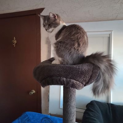 mimimone77's profile picture. 