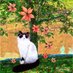 Canan Kulluk (@canankulluk) Twitter profile photo Canan Kulluk (@canankulluk) Twitter profile photo