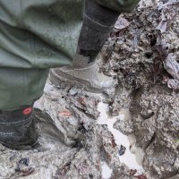 muddywaders (@mudmasterwaders) 's Twitter Profile