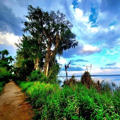 devinwarre113's profile picture. FOLLOW me on Twitch @bomba2424.

All photos you see are 100% taken by me from my phone or my drone.  It isn't a.i. or screenshots.