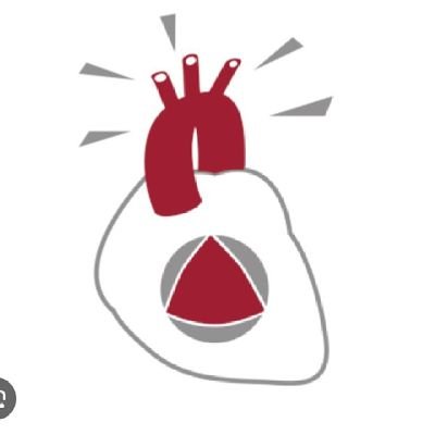 Valvulas_Aorta's profile picture. Divulgación acerca de valvulopatías y patología aórtica. Sección de Valvulopatías y Patología aórtica @secardiologia . Opiniones propias de la Sección.