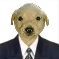 GxlDePerroSanxe (@gxldperrosanxe) 's Twitter Profile Photo