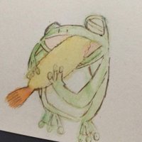 ( ˘ω˘ )騒ぐかえる (@frog_obs) Twitter profile photo
