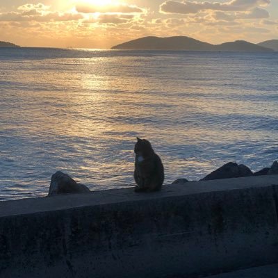 Abdullahoncwl's profile picture. 