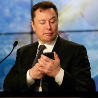 Elon musk(parody) (@222elonmusk) 's Twitter Profile