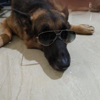 Ishan (@ibane93) 's Twitter Profile