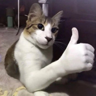 SlackerNasty's profile picture. 