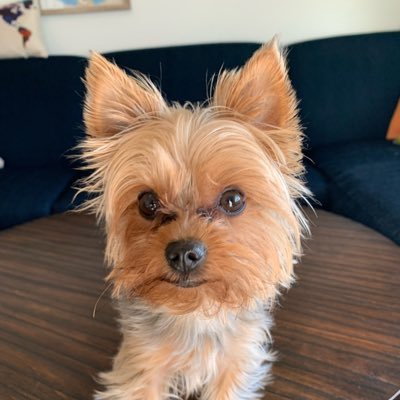 alanhulley13's profile picture. 