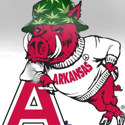 TXP666's profile picture. Hogs N’ Steelers