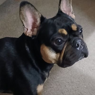 BarnesWayn95352's profile picture. I believe in England first . Make England great again. 🏴󠁧󠁢󠁥󠁮󠁧󠁿❤️✌️🙏