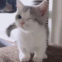 Lucca. (@stagevfx) 's Twitter Profile