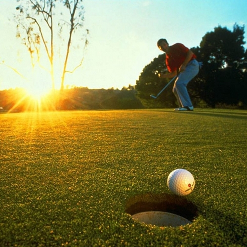 Laurent_Golf's profile picture. Golf addict without money !