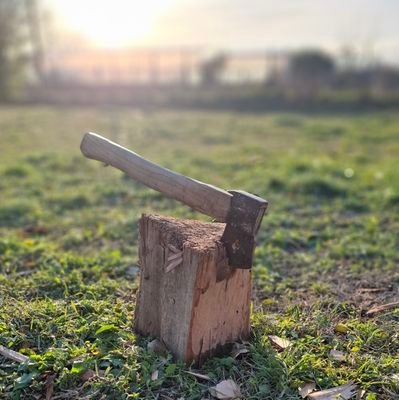 salasarka's profile picture. 