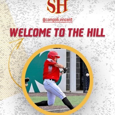 campoli_vincent's profile picture. '25 ⚾️2B/LF/RHP 🏈QB/LB | 6'0" 195 | PBR Invitee | Fairview Tigers / Erie Steelheads @AJ_Santoro | GPA: 3.95 | https://t.co/zXTiclybnv