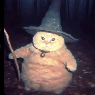 artiglioleonino's profile picture. 