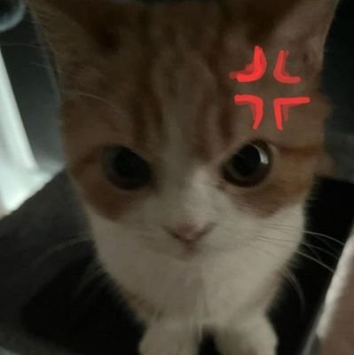 J4zm1n33's profile picture. 