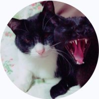 TOMOchan🐈‍⬛@ｴﾄﾜﾚ*@幸せ者🕊️🐼 (@okfreaks_tomomi) 's Twitter Profile