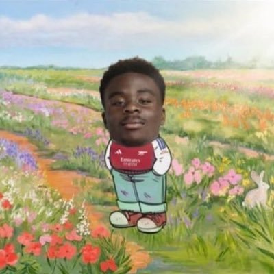 j0shcoyg's profile picture. @arsenal ❤️