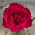 oioioi (@gaynor1949) Twitter profile photo oioioi (@gaynor1949) Twitter profile photo