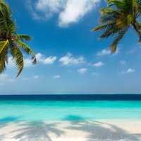 zaq_2024 (@zaq_2024) 's Twitter Profile Photo