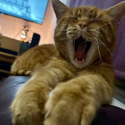 sunnybears81's profile picture. Scottish chocoholic, pizza addict and animal lover. Female, awa/tae/fuck