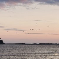 neu/rio (@ai4tell8) 's Twitter Profile