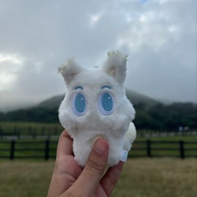 junniepieee's profile picture. i only care abt renjun, exo and hjfgk