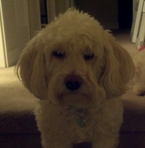 DaveBrooklin22's profile picture. 