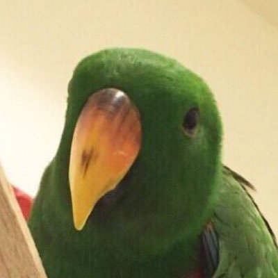 뽁뽁이さんのプロフィール画像