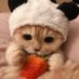 fbi (@federalkitty) Twitter profile photo fbi (@federalkitty) Twitter profile photo