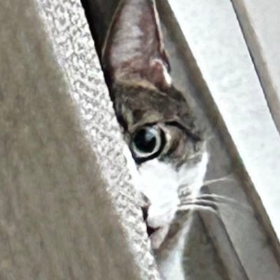 petehiggins16's profile picture. The Who fanatic. Die hard L.V. Raider, New York Rangers, New York Mets fan. “Rocky” - best movie ever- I just want to go the distance too.