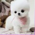 饺子丶(100%互fo) (@horacebert5815) Twitter profile photo 饺子丶(100%互fo) (@horacebert5815) Twitter profile photo