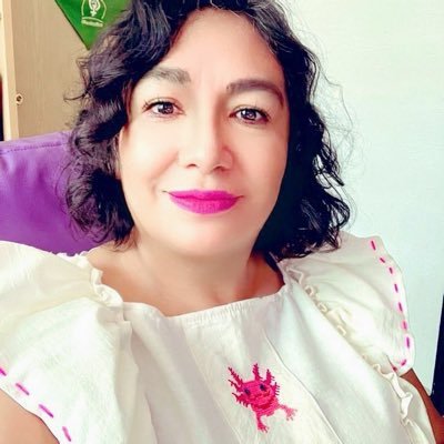 Acompañante de mujeres, niñas/os y adolescentes para exigir derechos|| Feminista decolonial. Municipalista. Directora de @equidadmx